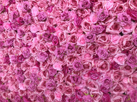 Barbie Flower Wall