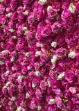 Hot Pink with Ivory Flower Wall - Starlight Flower Walls