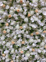 Flower Wall Packages - Starlight Flower Walls