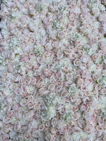 Pretty Pink and Ivory Flower Wall - Starlight Flower Walls