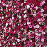 Pink with Green Foliage Flower Wall - Starlight Flower Walls